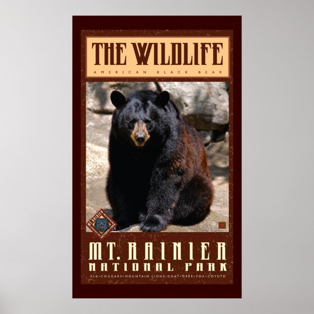 Poster Le parc du Mont Rainier Nat'l (Devant)