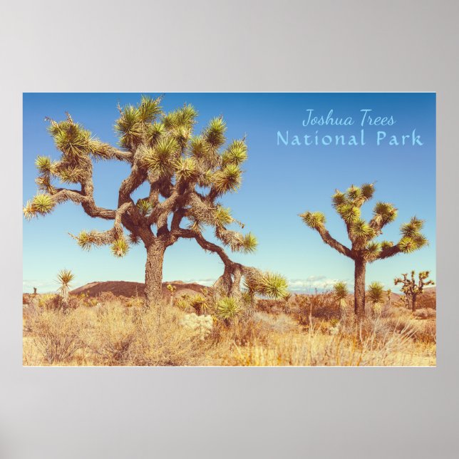 Poster Le Parc national de Joshua Trees (Devant)