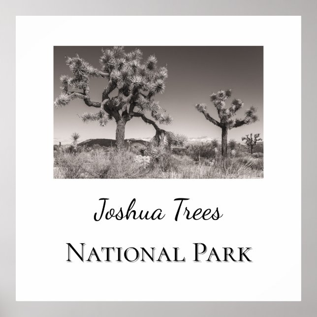 Poster Le Parc national de Joshua Trees (Devant)