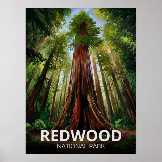 Poster Le parc national de Redwood, Californie côtière (Devant)