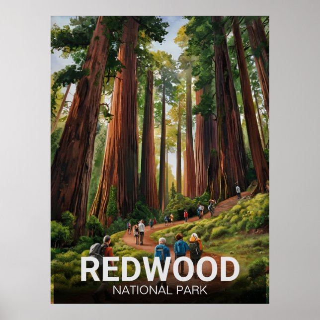 Poster Le parc national de Redwood, Californie côtière (Devant)