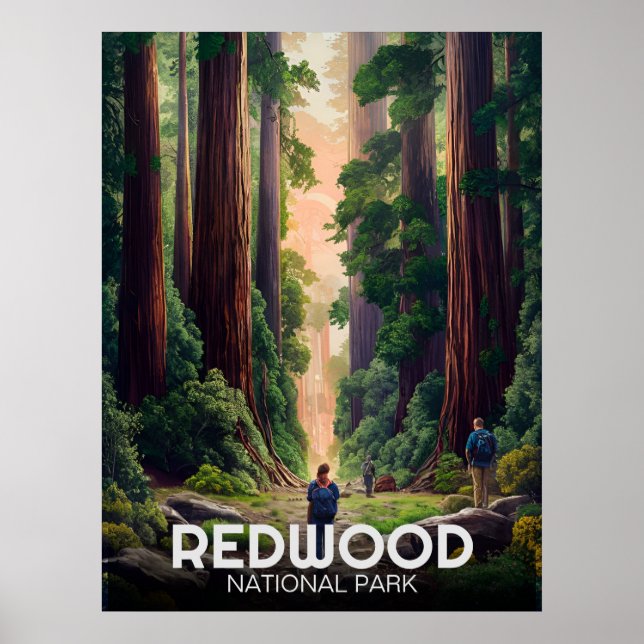 Poster Le parc national de Redwood, Californie côtière (Devant)