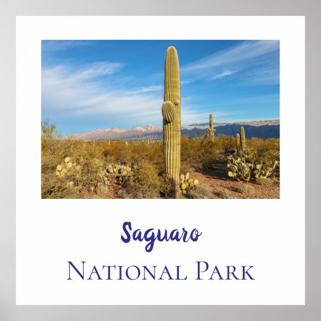 Poster Le Parc national du Saguaro (Devant)