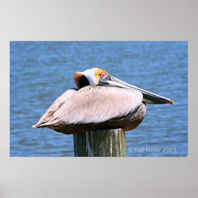 Poster Le patron (Devant)