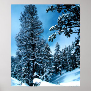 Poster Le pays des merveilles d'hiver