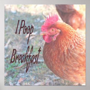 Poster Le petit-déjeuner de la poule Humour amusant