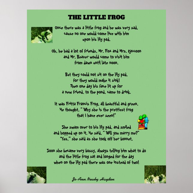 POSTER LE PETIT FROG (Devant)