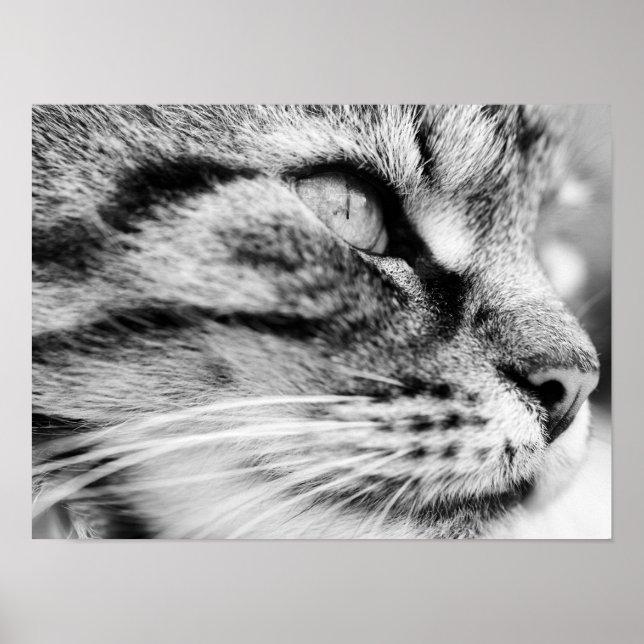 Poster Le pied (Devant)