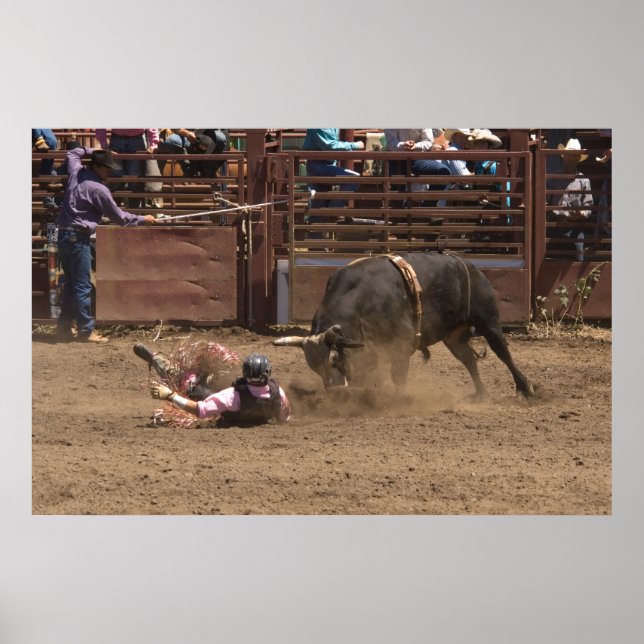 Poster Le pilote de Fallen est sur le point de rencontrer (Devant)