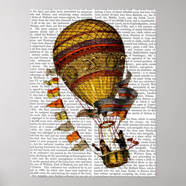 Poster Le Pilote Hot Air Balloon (Devant)