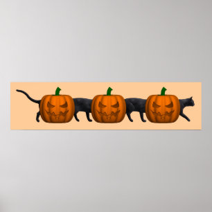 Poster Le plus long chat du monde