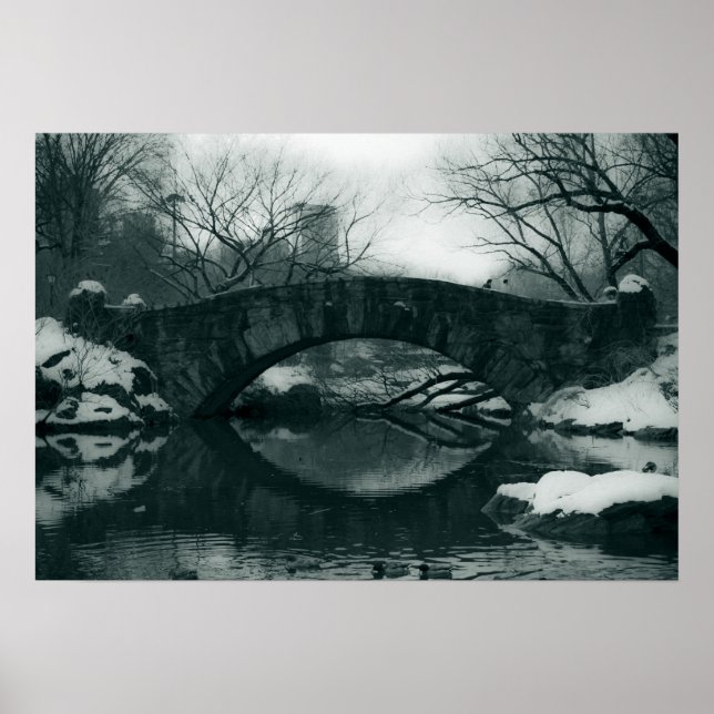 Poster Le pont de Central Park (Devant)