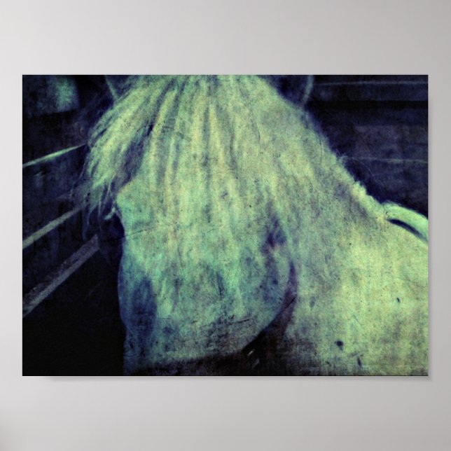 Poster Le ponton (Devant)