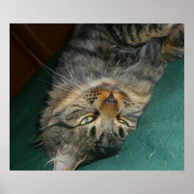 Poster Le pourboire (Devant)