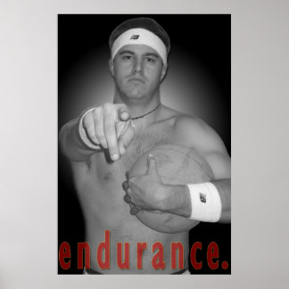 Poster Le pouvoir de persévérer