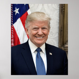 Poster Le président Donald Trump