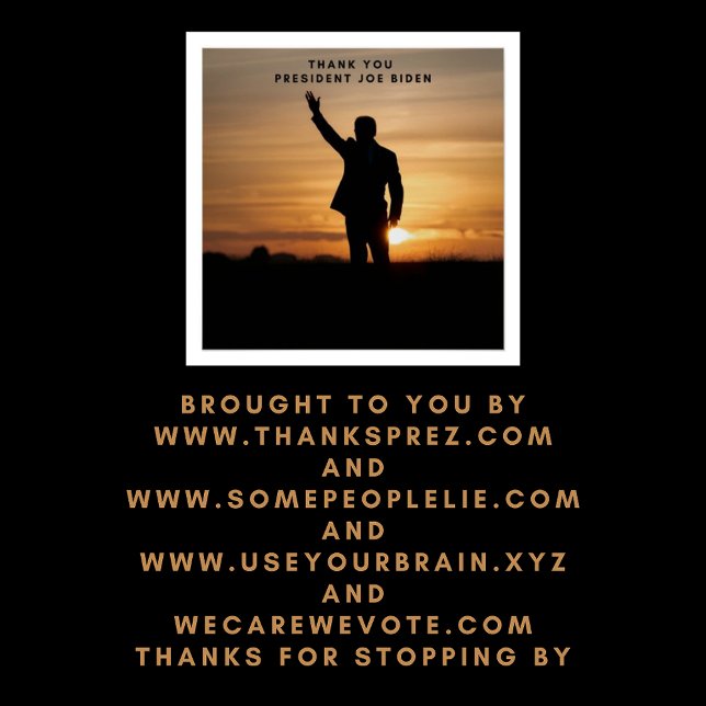 Poster Le président Merci Joe Biden (Créateur téléchargé)