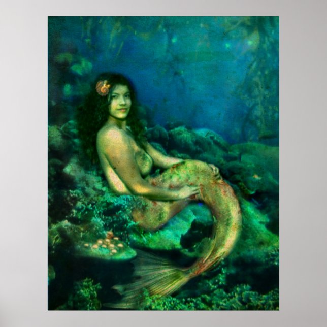 Poster Le président Mermaids (Devant)