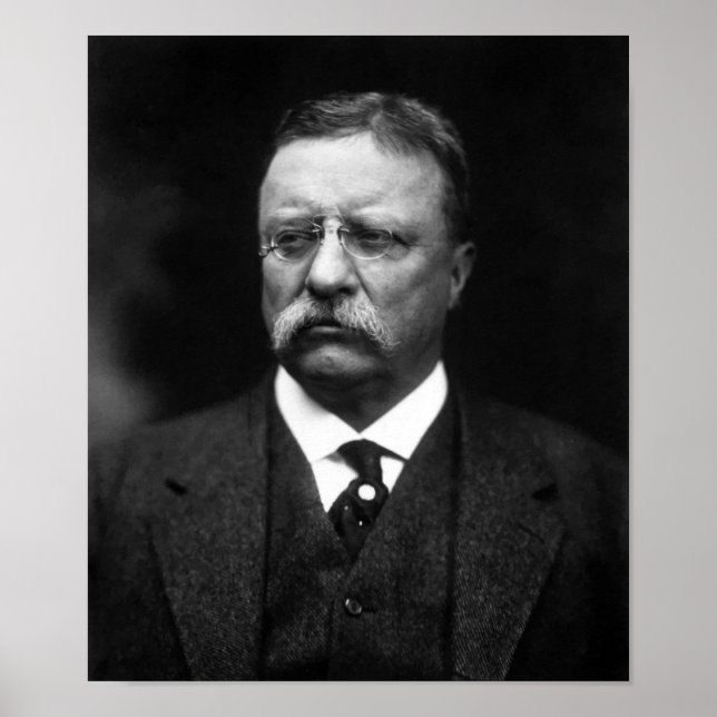Poster Le président Teddy Roosevelt (Devant)