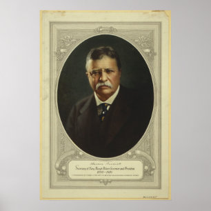 Poster Le Président Theodore Roosevelt par la
