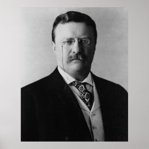 Poster Le Président Theodore Roosevelt Portait
