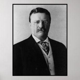 Poster Le Président Theodore Roosevelt Portait