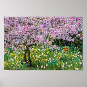 Poster Le printemps dans le jardin de Claude Monet