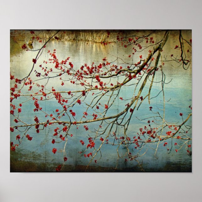 Poster Le printemps éclate de partout (Devant)