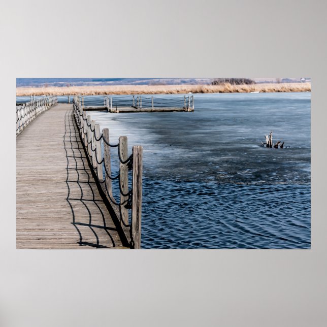 Poster Le printemps sur l'affiche du marais (Devant)