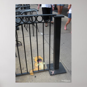 Poster Le prisonnier de chat