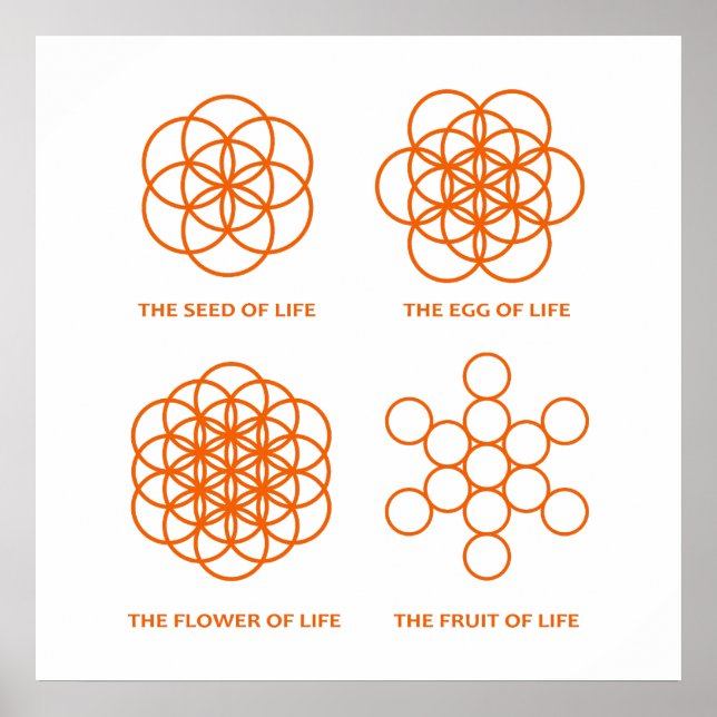 Poster Le processus de création (Devant)