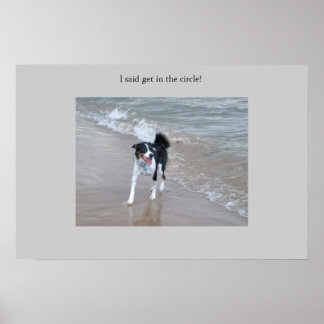 Poster Le puissant Collie