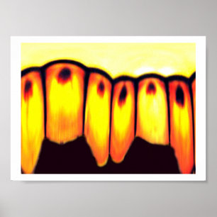 Poster le rassemblement