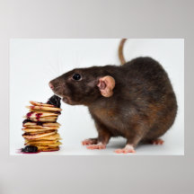 Le rat très affamé