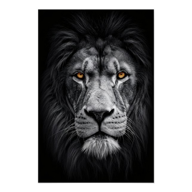 Poster Le regard du roi (Devant)