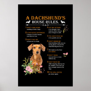 Poster Le règlement de la maison d'un Dachshund