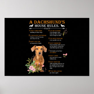 Poster Le règlement de la maison d'un Dachshund