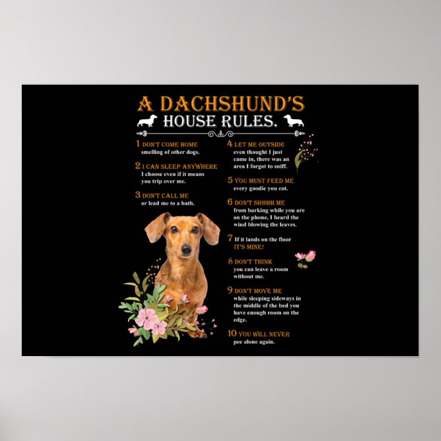 Poster Le règlement de la maison d'un Dachshund (Devant)