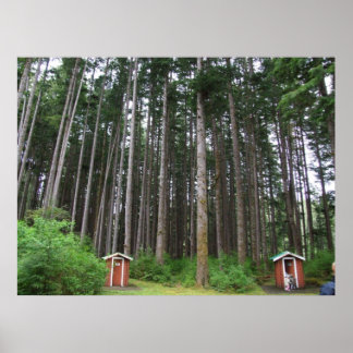 Poster Le relief dans les arbres