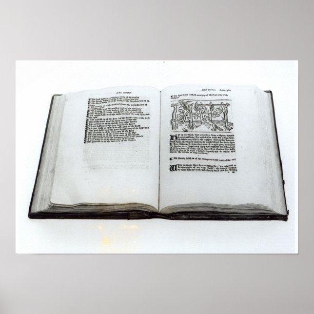 Poster Le renard et les raisins (Devant)