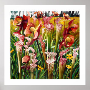 Poster Le "ressort fleurit" l'art floral d'aquarelle