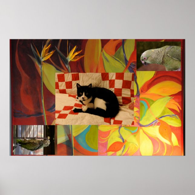 Poster Le rêve d'Euclid (Devant)