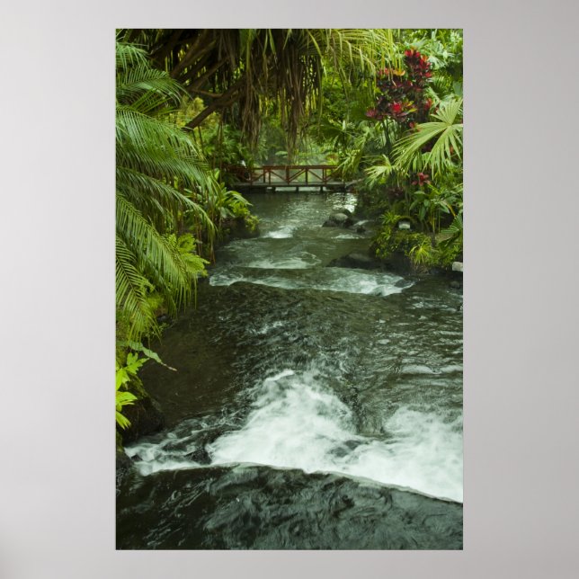Poster Le rêve du Costa Rica (Devant)