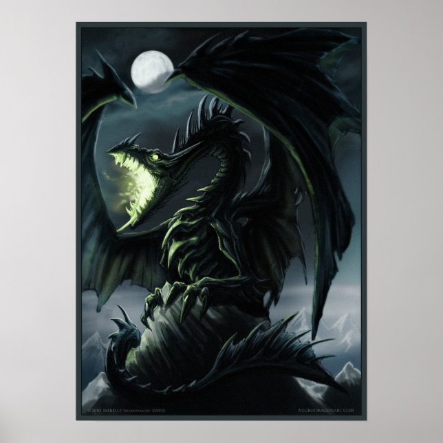 Poster Le Rocher du Dragon (Devant)