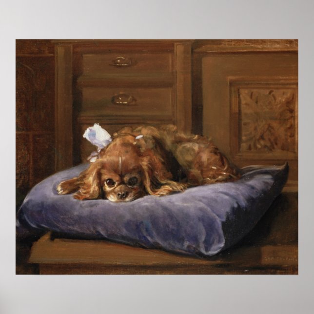 Poster Le roi Charles Spaniel (Devant)