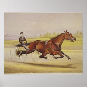 Poster Le roi du gazon, "St Julien", conduit par Orri