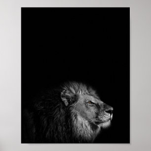 Poster Le Roi, Lion, photo noir et blanc
