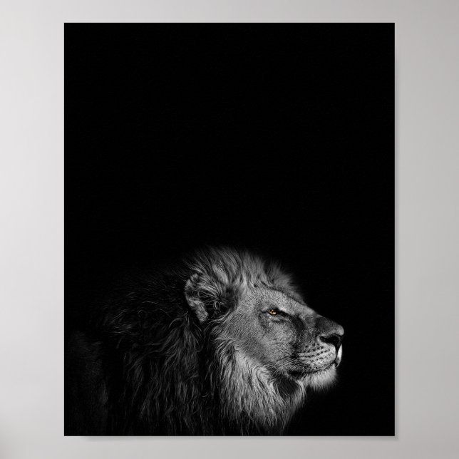 Poster Le Roi, Lion, photo noir et blanc (Devant)
