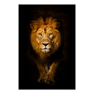 Poster Le roi silencieux