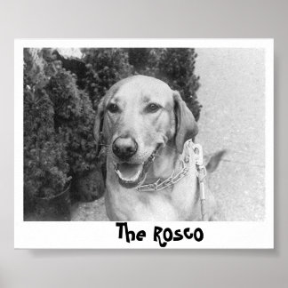 Poster Le Rosco